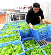 提供150種素菜、50種肉類(lèi)、40種調(diào)味品，供客戶(hù)選擇。為客戶(hù)在原有成分的基礎(chǔ)上，成本再下降5％~10％